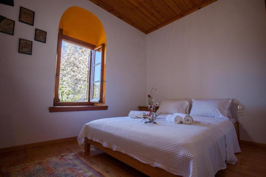 Eremia Rustic House - Entire Villa In Pelion มากรินิตซา ภายนอก รูปภาพ