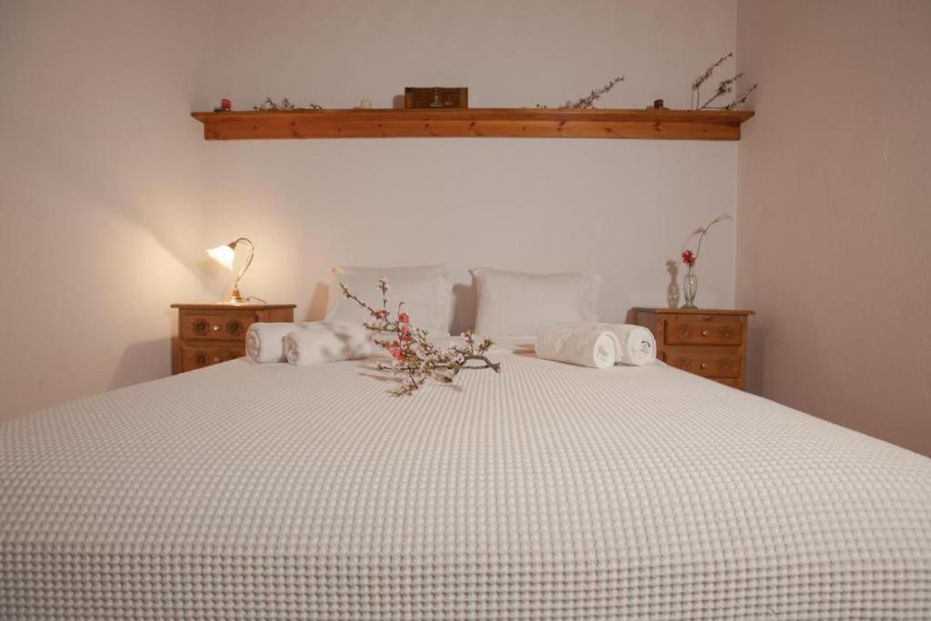 Eremia Rustic House - Entire Villa In Pelion มากรินิตซา ภายนอก รูปภาพ