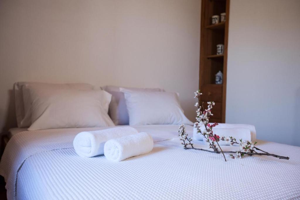 Eremia Rustic House - Entire Villa In Pelion มากรินิตซา ภายนอก รูปภาพ